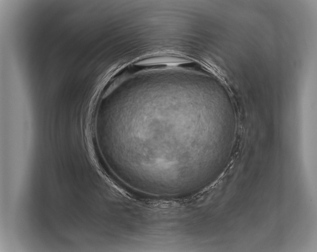 X0000112010193200908101349