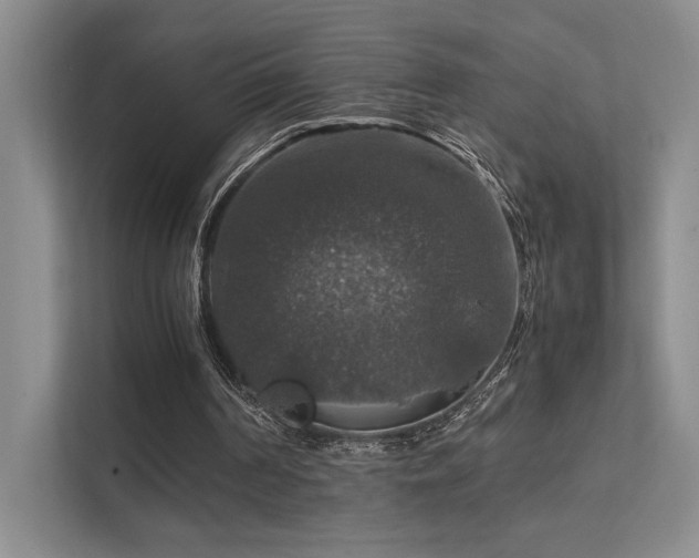 X0000112010194200908101349