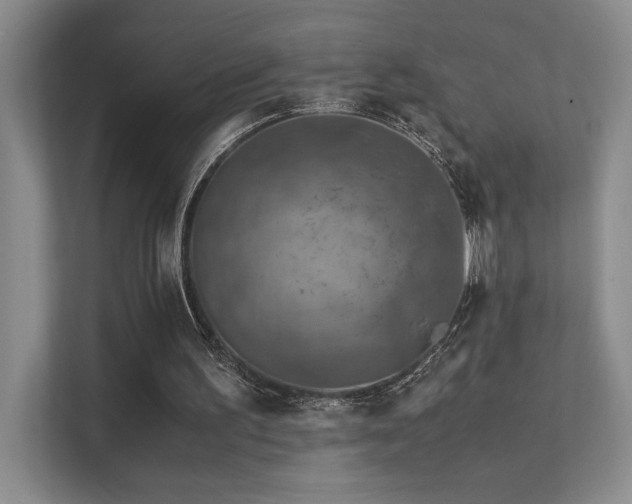 X0000112010195200908101349