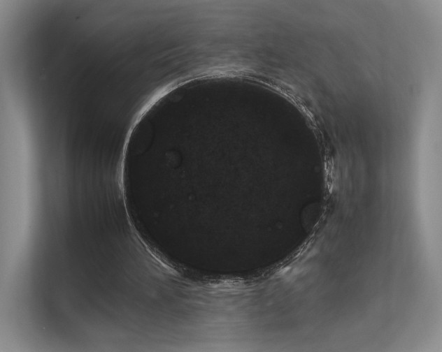 X0000112010196200908101349