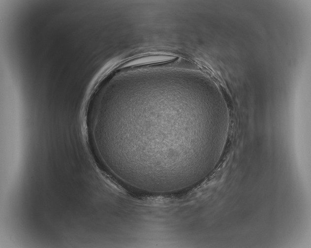 X0000112010197200908101349