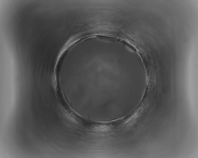 X0000112010198200908101349