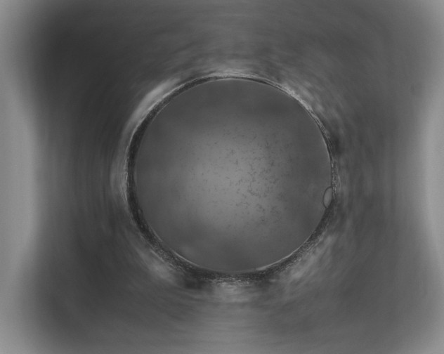 X0000112010199200908101349