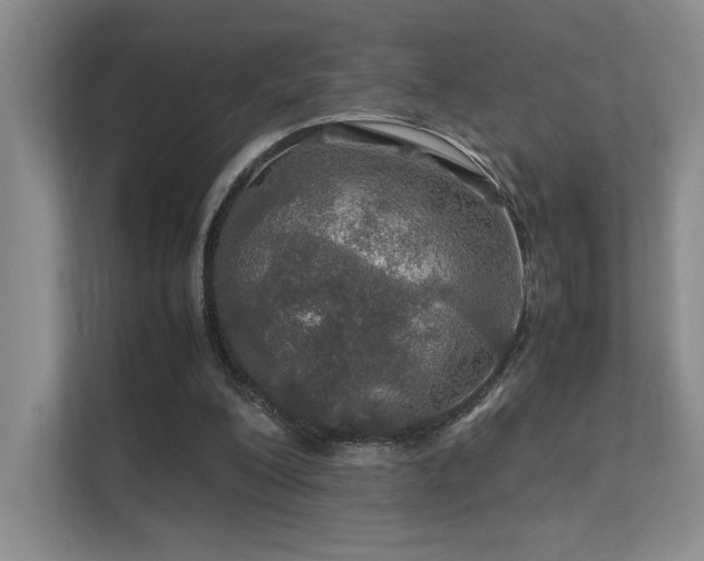 X0000112010200200908101349