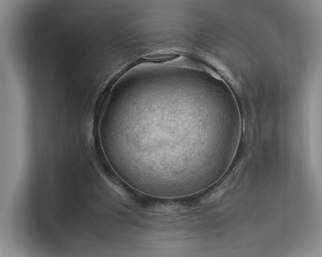 X0000112010201200908101348