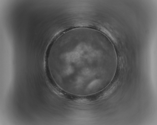 X0000112010203200908101348