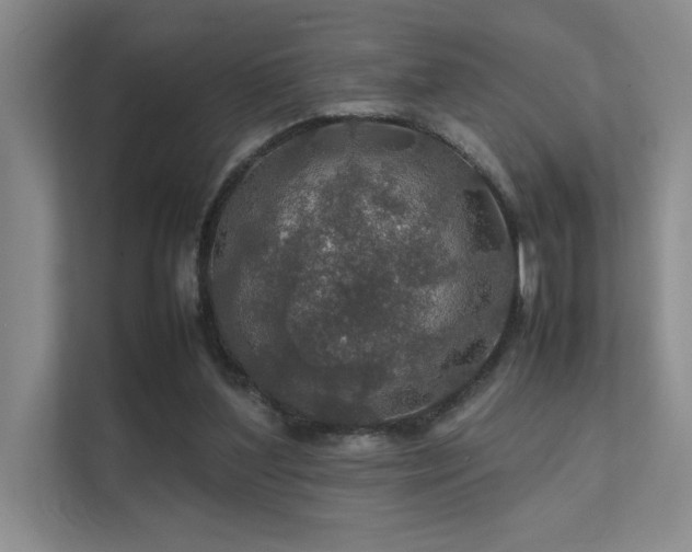 X0000112010204200908101348