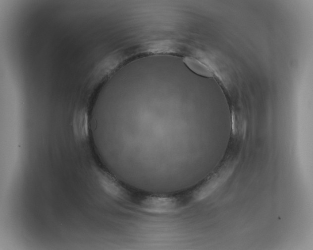 X0000112010205200908101348