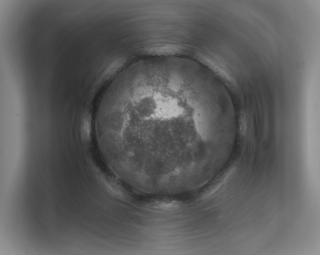 X0000112010206200908101348