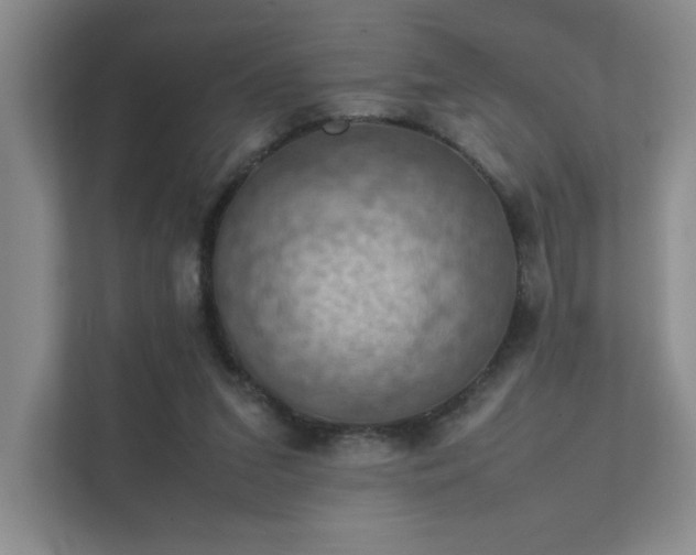 X0000112010207200908101348