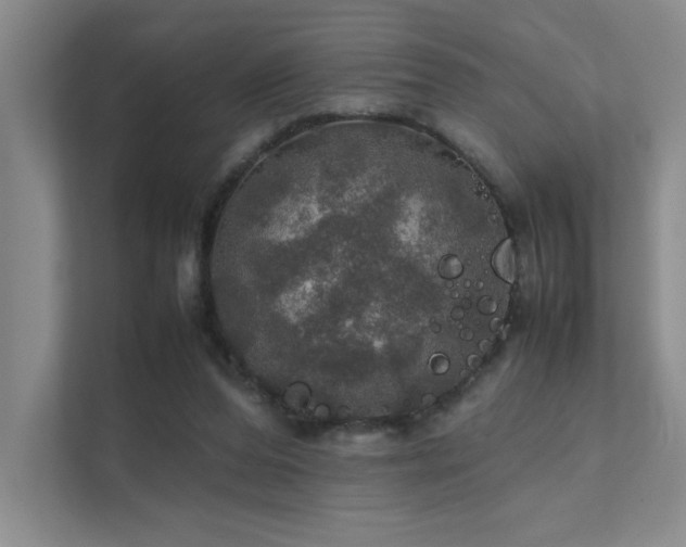 X0000112010208200908101348