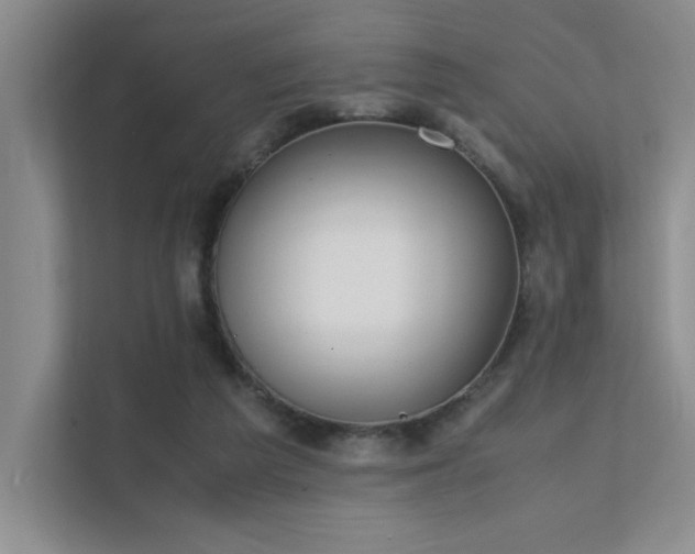 X0000112010209200908101348