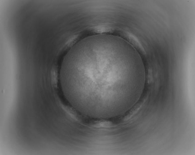 X0000112010210200908101348