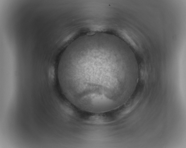 X0000112010211200908101348