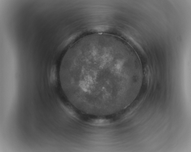 X0000112010212200908101348