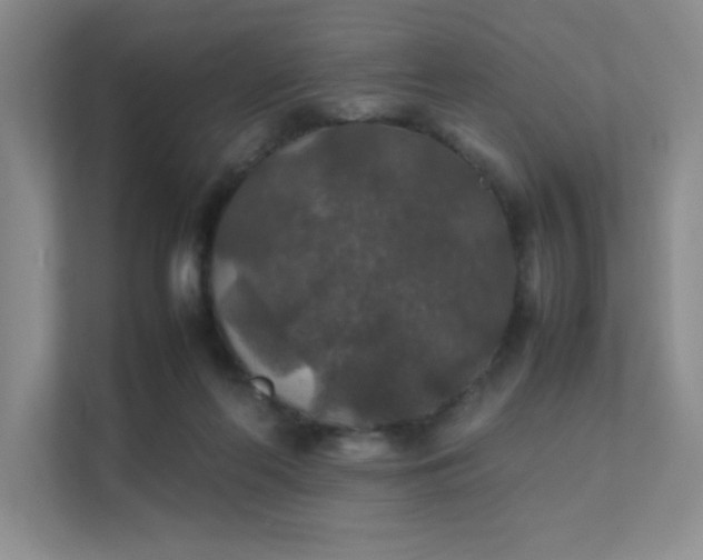 X0000112010214200908101348