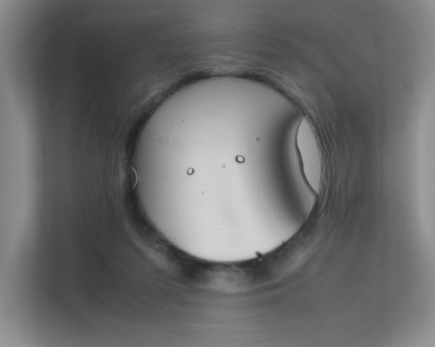 X0000112010215200908101348