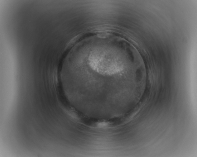 X0000112010216200908101348