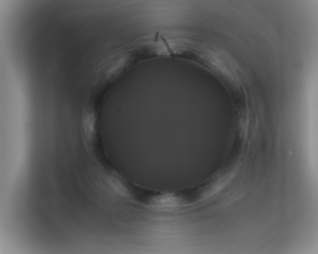 X0000112010219200908101348