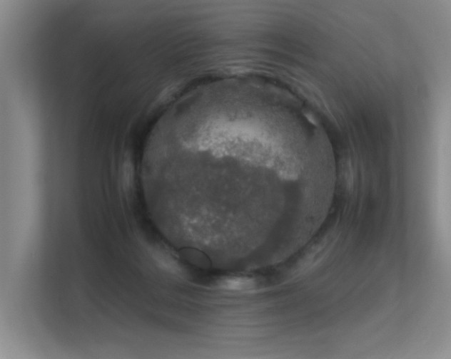 X0000112010220200908101348