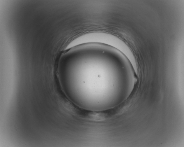 X0000112010221200908101348