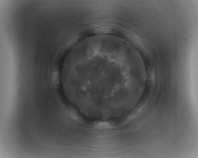 X0000112010224200908101348