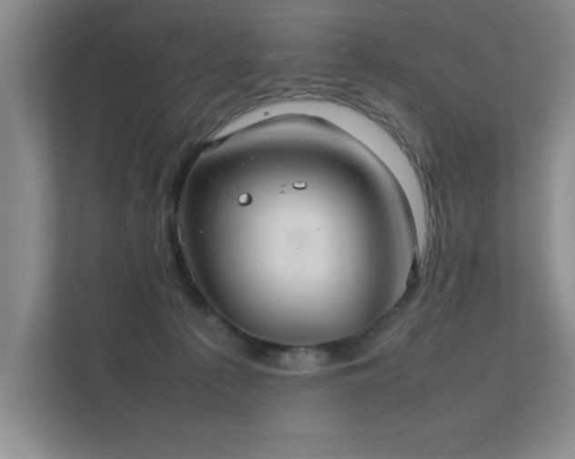 X0000112010225200908101348