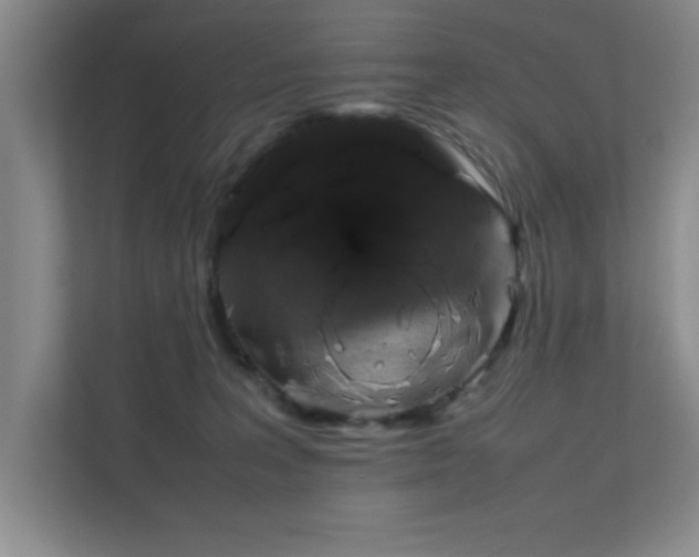 X0000112010227200908101348