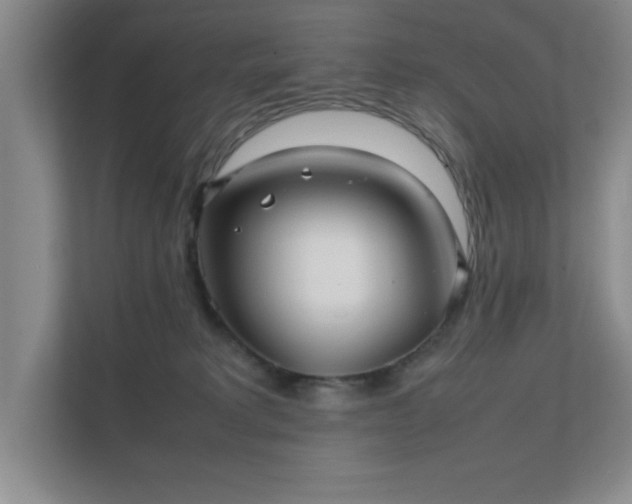 X0000112010229200908101348