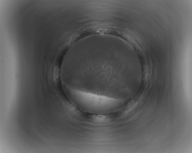 X0000112010230200908101348