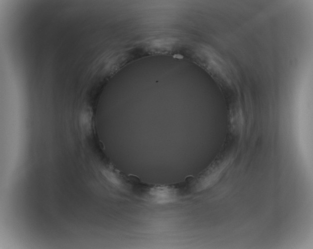 X0000112010231200908101348