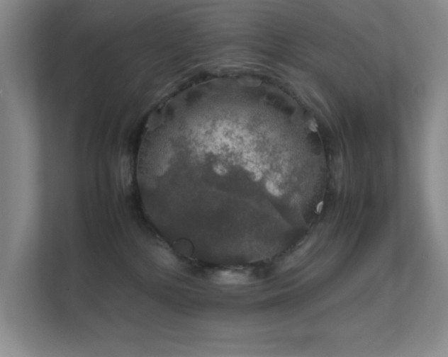 X0000112010232200908101348