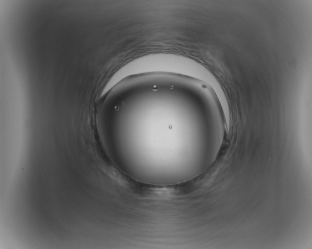 X0000112010233200908101348