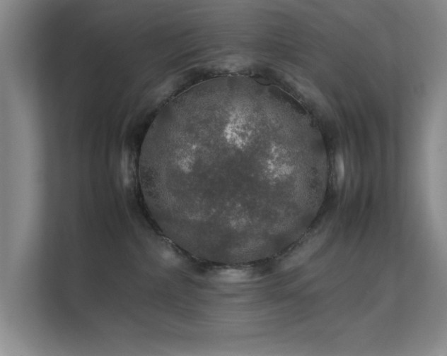 X0000112010236200908101348