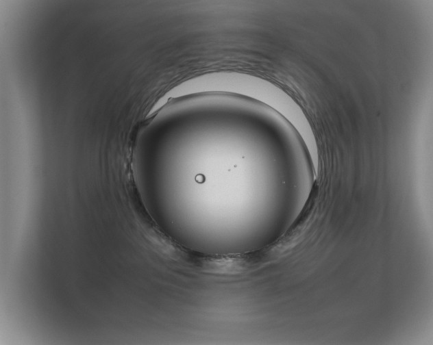 X0000112010237200908101348