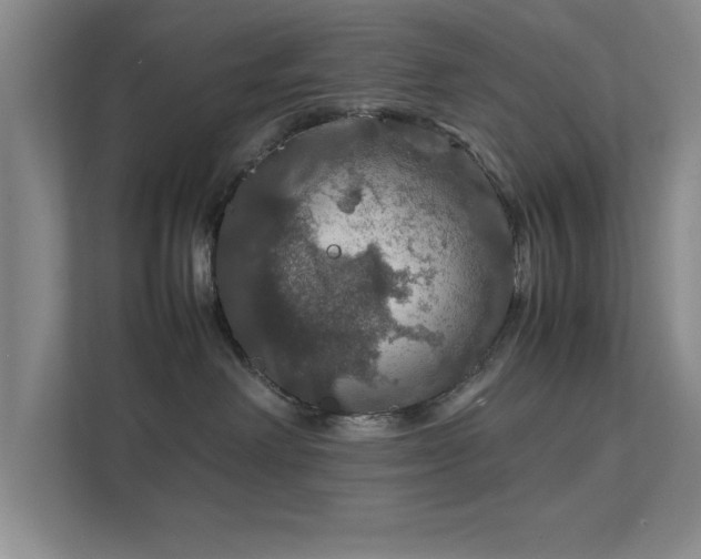 X0000112010238200908101348