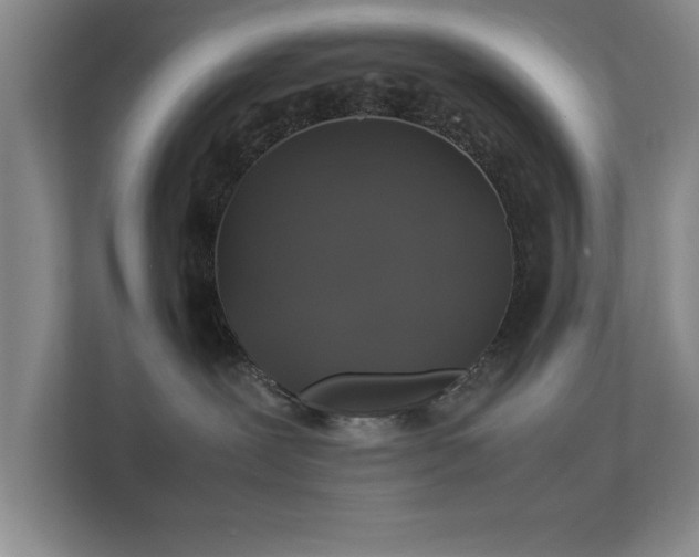 X0000112010239200908101348