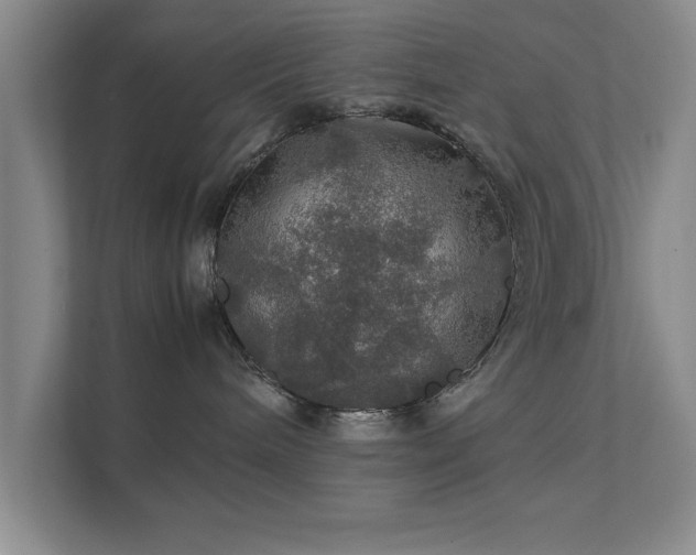 X0000112010240200908101348