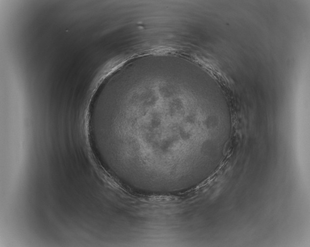 X0000112010242200908101347