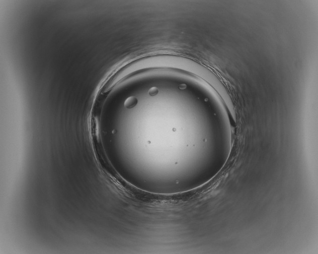 X0000112010244200908101347