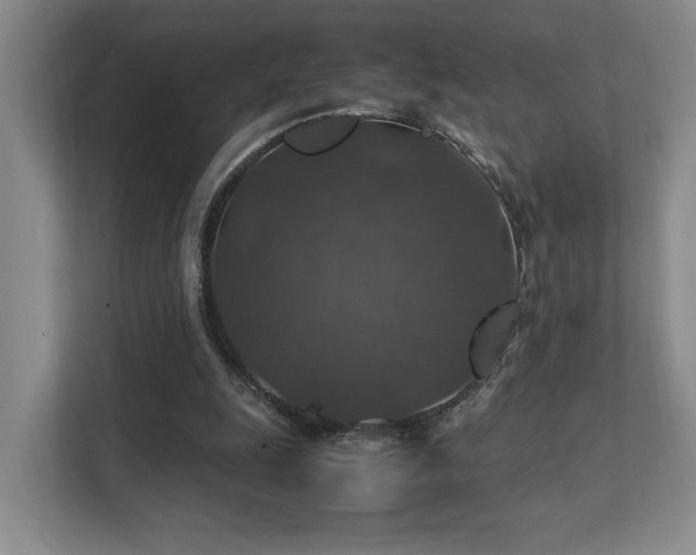 X0000112010247200908101347