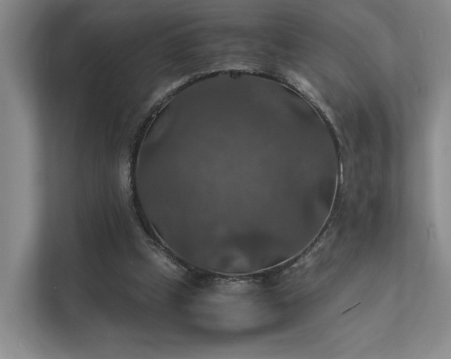 X0000112010249200908101347