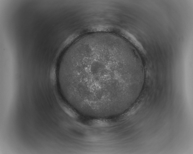 X0000112010250200908101347