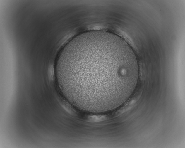 X0000112010251200908101347