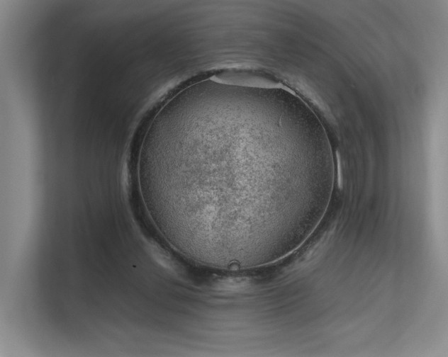 X0000112010252200908101348