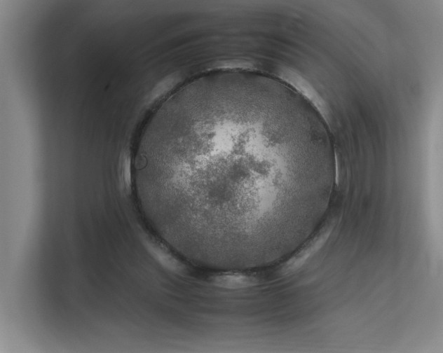 X0000112010253200908101348