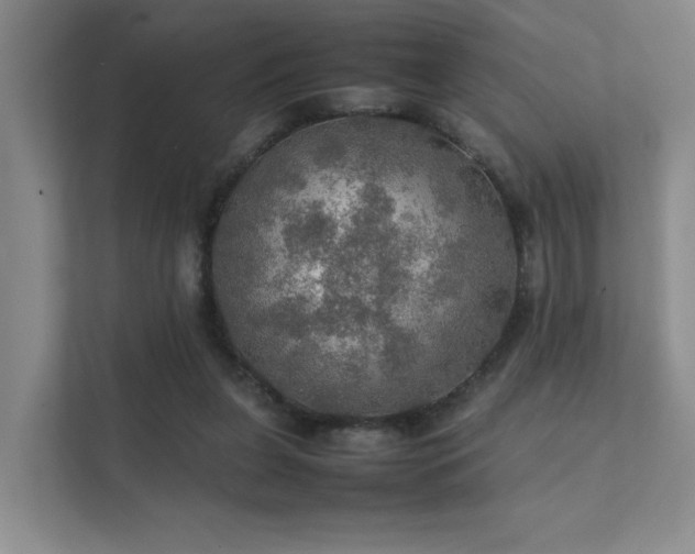 X0000112010255200908101348