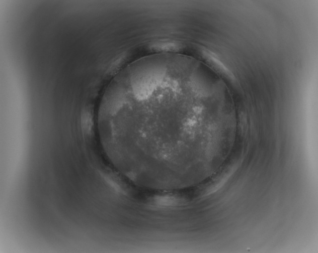 X0000112010259200908101348