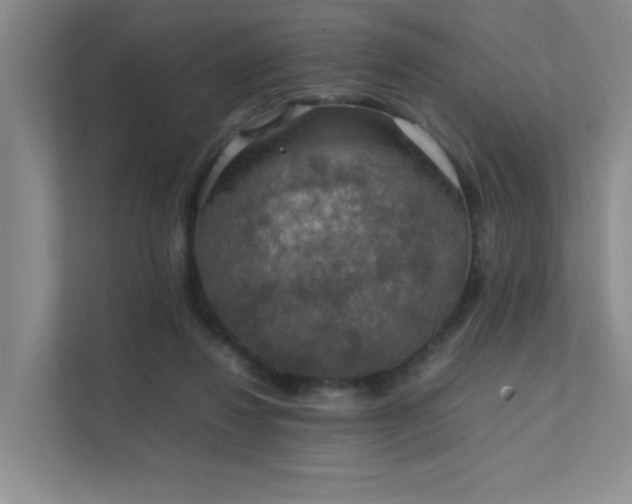 X0000112010260200908101348