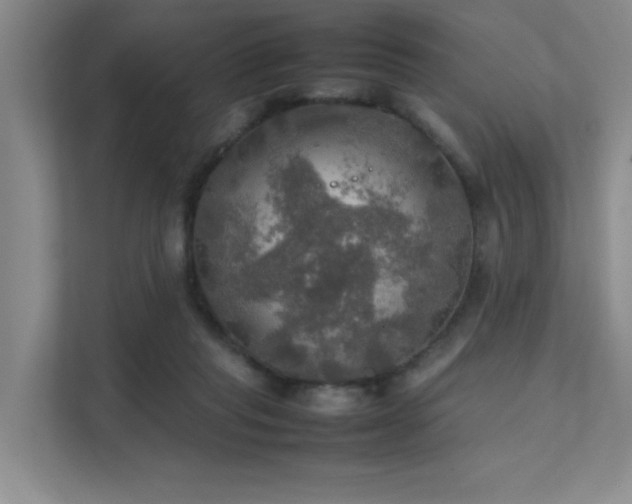 X0000112010261200908101348